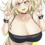 nN269P