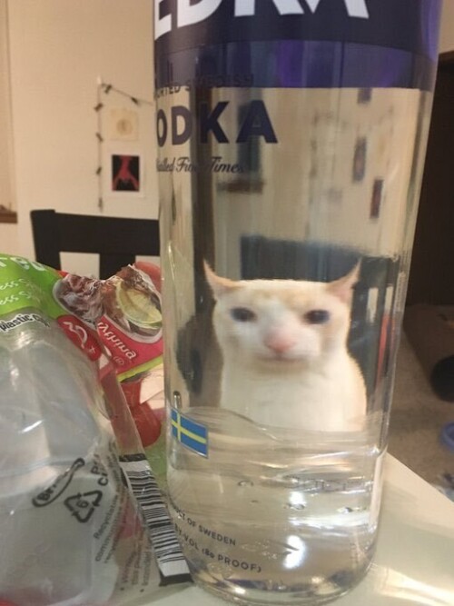nk6MA3.jpeg
