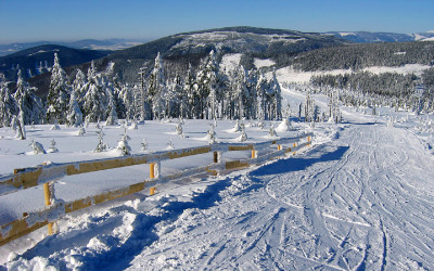 pCt97.jpg