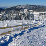 pCt97