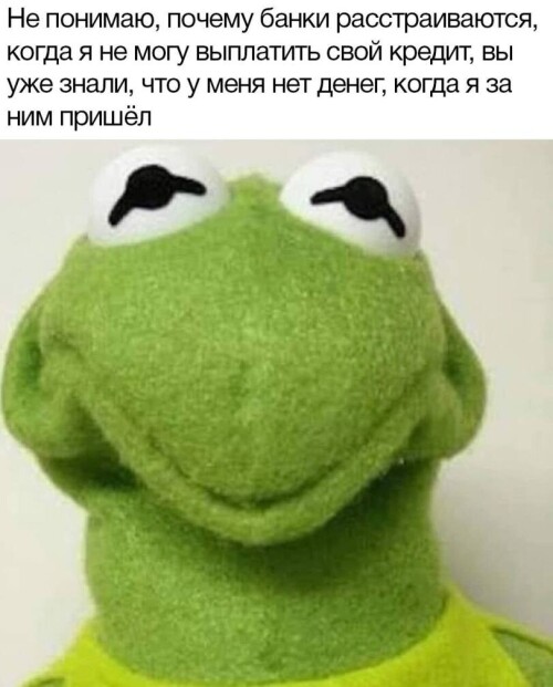 pJxzOm.jpeg