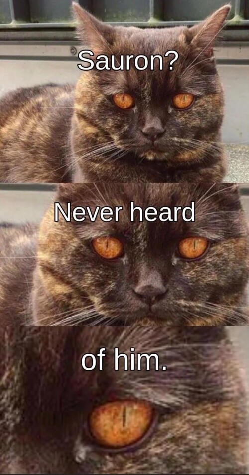 pYBpev.jpeg