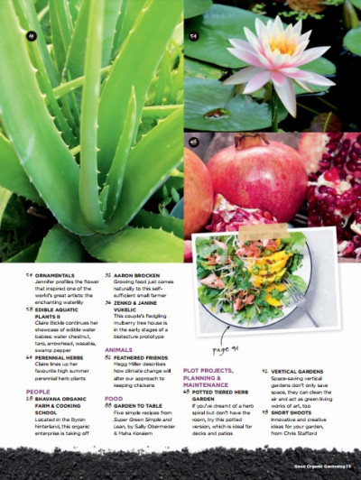 Good Organic Gardening December 01 2017 (4)