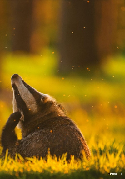 N Photo UK January 2018 (4)