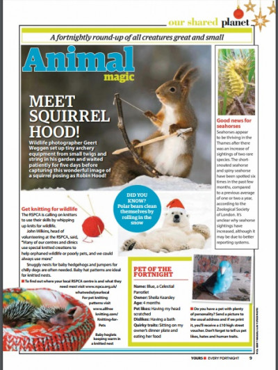 Yours UK December 13 2017 (4)