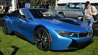 puxym.jpg