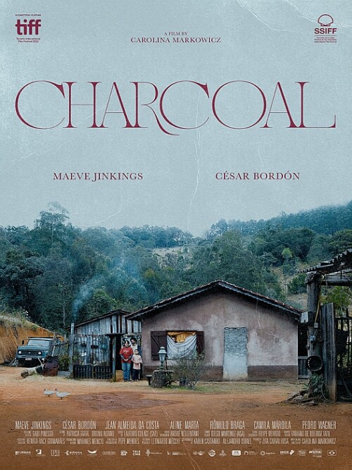Węgiel Charcoal Carvão 2022