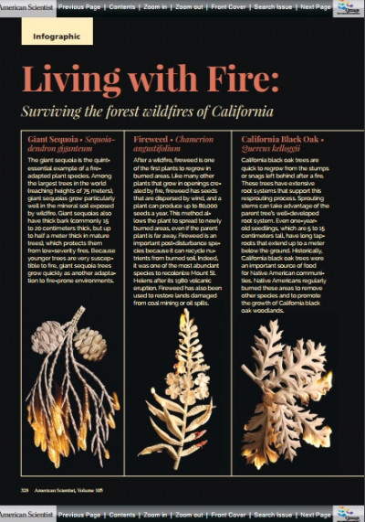 American Scientist November December 2017 (3)