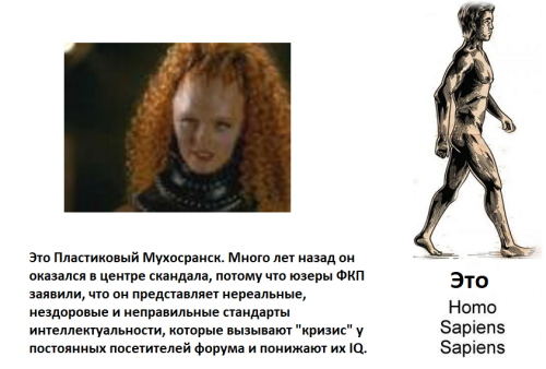 qmfqpD.png