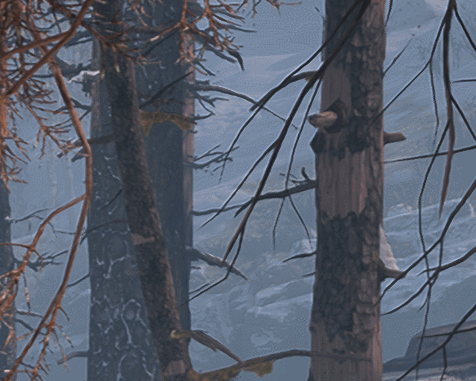 rmfv8F.gif