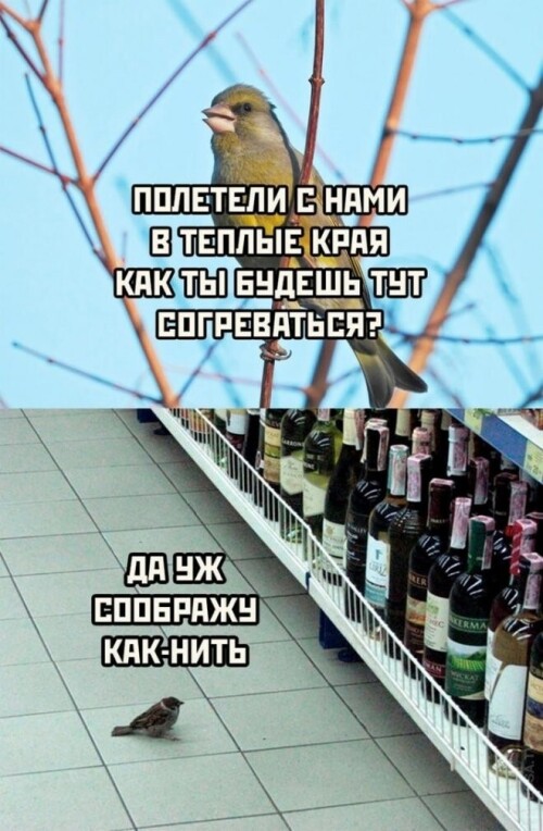 sGNcba.jpeg