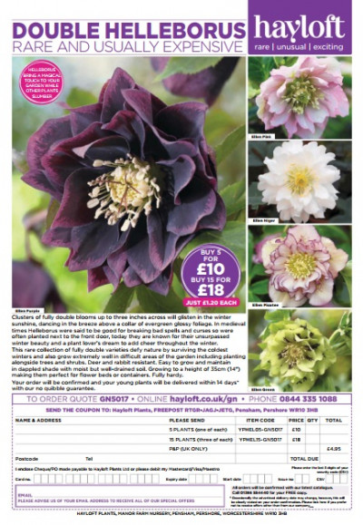 Garden News December 16 2017 (2)