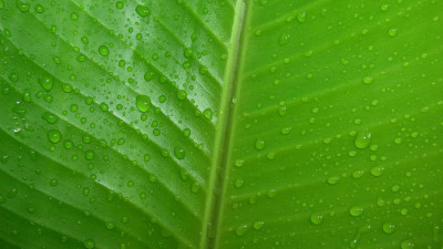 Ultra HD 4K Computer background image 957 7Xl9aZd High resolution UHD Desktop Wallpaper