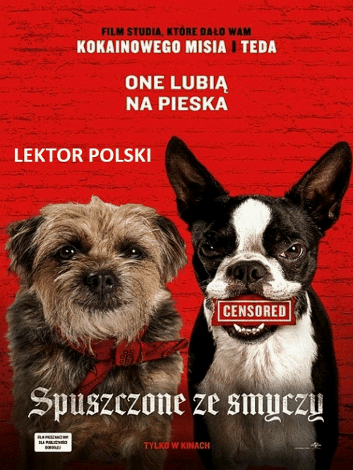 kot_mateusz v369