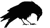 sqKJ52.gif