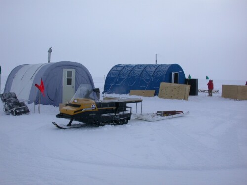 polar 5