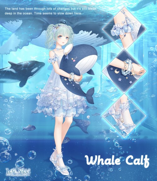 Whale Calf 00