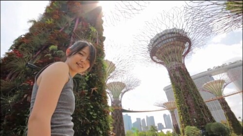 Airi Suzuki 246