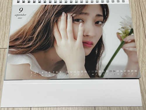 Airi Suzuki 867