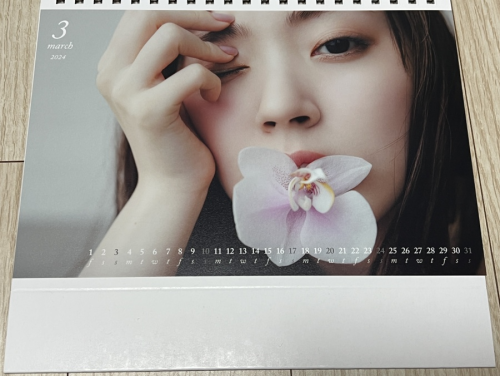 Airi Suzuki 879