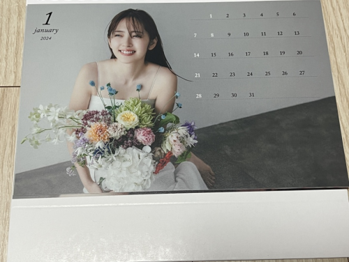Airi Suzuki 875