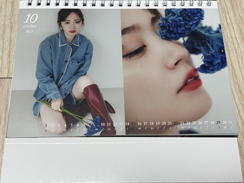 Airi Suzuki 869
