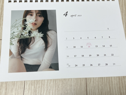 Airi Suzuki 862
