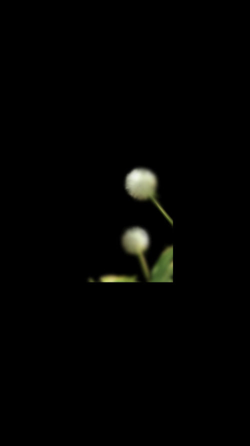 Screenshot 20241115 115614