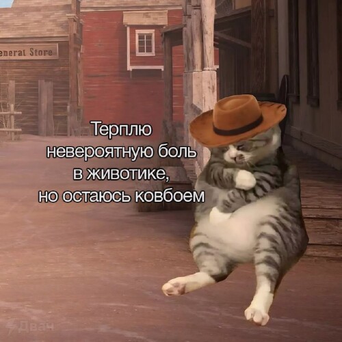vJmr9i.jpeg