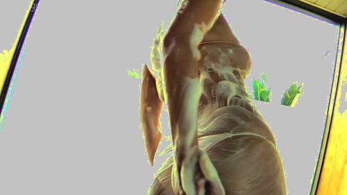 vVHYWH.jpg
