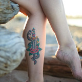vpz2Z