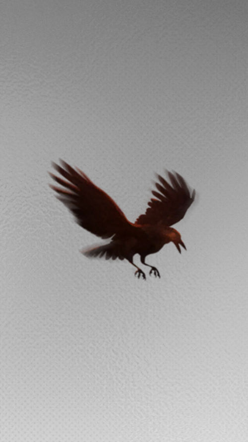 Screenshot 2024.06.19 23.12.47.952