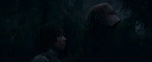 z4XnP3.gif