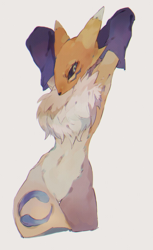  renamon digimon and 1 more drawn by hayusk 6cfc6a9d710f895a744c8f3f0c20ff60