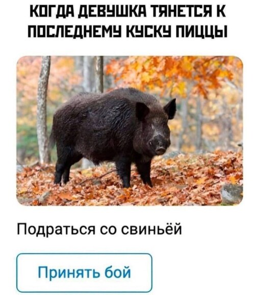 zLMDma.jpeg