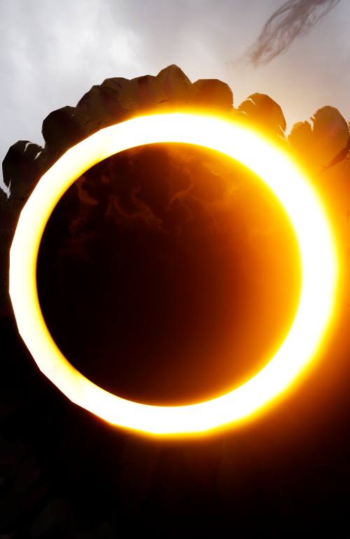 zQP8o1.png