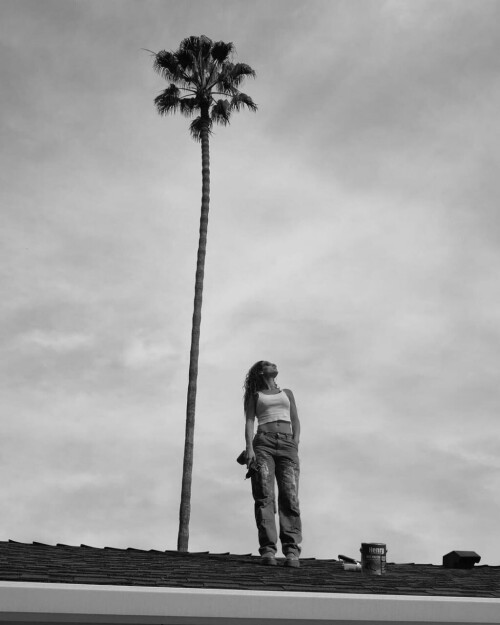 zgcWdr.jpeg