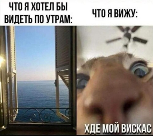 zpZpRe.jpeg