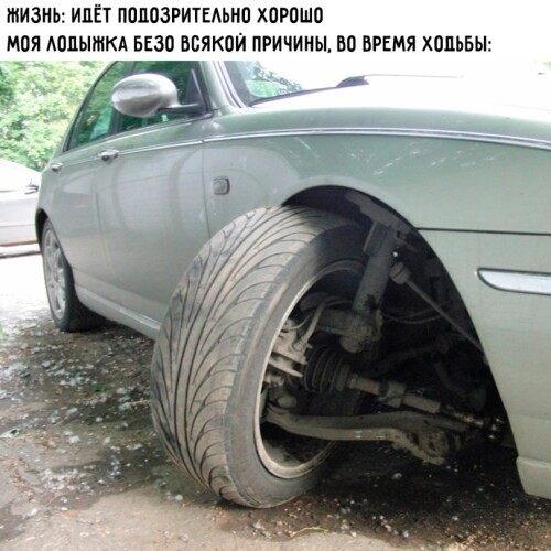 zpZzm1.jpeg